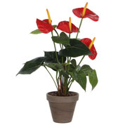 Planta Artificial - Anthurium Rojo - MICA